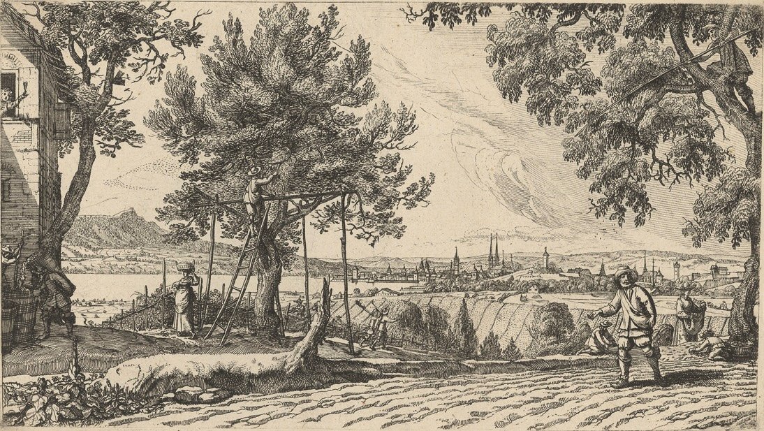 Meyer - Herbst Graphik